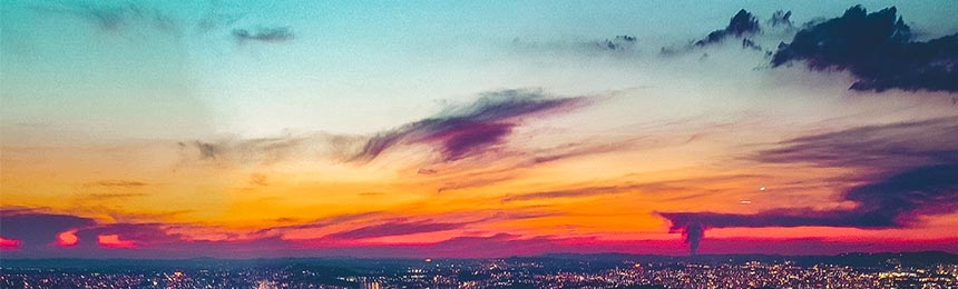 枣庄茶虫网_枣庄品茶